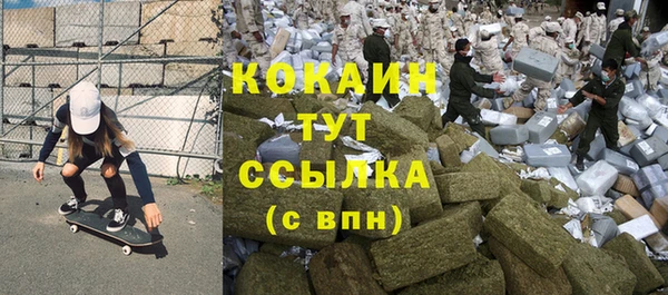 мдпв Богородск